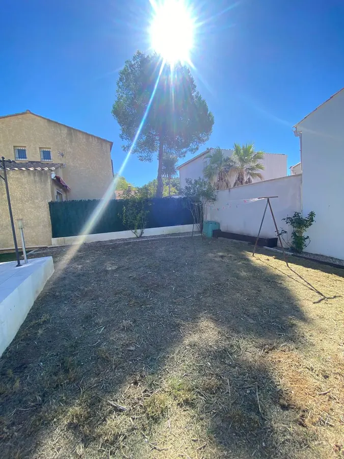 Grand pin parasol dans la cour d'une maison provençale, soleil dans le houppier